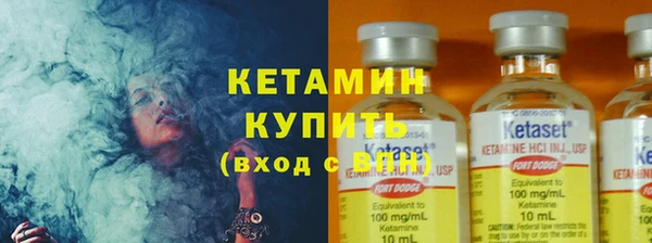 стафф Новозыбков