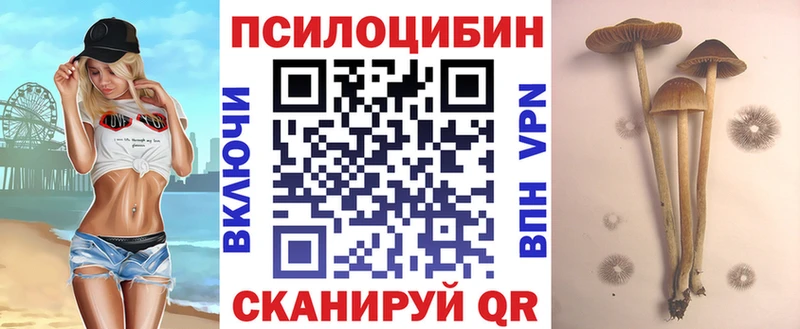 наркотики Пестово Псилоцибиновые грибы мухоморы